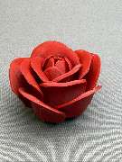 Snowcats Welt - GALLERY