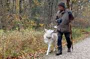 So A Hund - Galerie