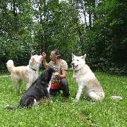 So A Hund - So A Hund