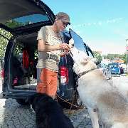 So A Hund - So A Hund
