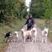 So A Hund - So A Hund