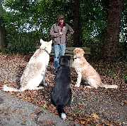 So A Hund - So A Hund