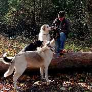So A Hund - So A Hund