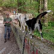 So A Hund - So A Hund