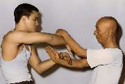 Society for Ving Tsun Kung Fu Martial Arts - GALLERY
