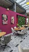 Sofas & Dining - Interior Outlet - GALLERY