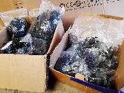 Solargarage Coburg - GALLERY