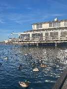 Sole Mio Seeterrasse - GALLERY