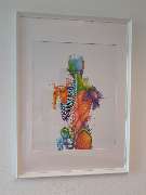 solveda MED - GALLERY