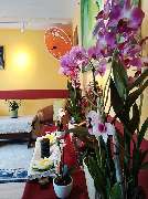 Somjai Thaimassage - 5