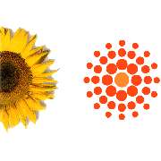 Sonnen-Apotheke - Logo der Sonnen-Apotheke