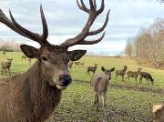 Sonnenlandpark Lichtenau - GALLERY