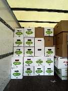 Sorglos Umzüge & Entrümpelungen - 13