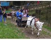 Sozialdienst katholischer Frauen e.V. - GALLERY