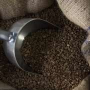 Spangler, Simon GbR - GALLERY