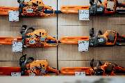 Specht Reepsholt e. K. - GALLERY