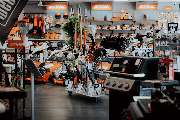 Specht Reepsholt e. K. - GALLERY