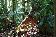 Special Adventure - GALLERY