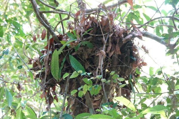 Special Adventure - GALLERY