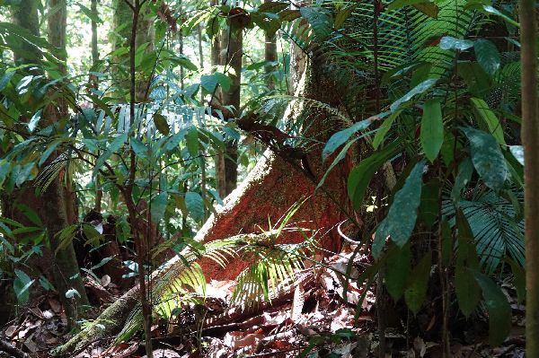 Special Adventure - GALLERY