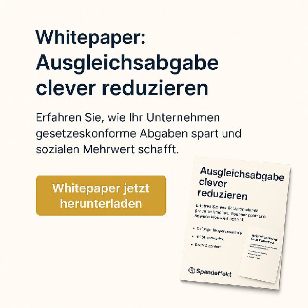 SpendEffekt e.K. - Bild für Whitepaper.png