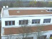 Spengler und Dachdecker Köchel GmbH München - Dachbegrünung - Spengler und Dachdecker Köchel GmbH München