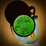 Spiritus - GALLERY