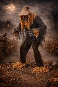 Spooky-Store - GALLERY