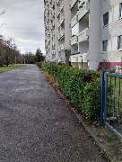 Spotless Immobilienservice - 4
