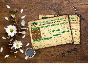 Spreeblick Restaurant & Brauhaus - GALLERY