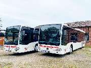Springhorn Reisen - GALLERY
