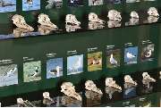 Staatliche Vogelschutz-warte - GALLERY