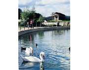 Stadt Bad Staffelstein - GALLERY