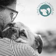 Stadt Hunde Trainer - Stadthundetrainer