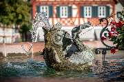 Stadt Ladenburg - GALLERY