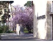 Stadt Stein - GALLERY