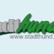 Bild von Stadthund in Bremen - 1