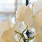 Stadtwaldpraxis für Ganzheitsmedizin & Naturheilverfahren, Kardiologie Köln - Stadtwaldpraxis für Ganzheitsmedizin