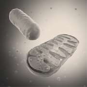 Stadtwaldpraxis für Ganzheitsmedizin & Naturheilverfahren, Kardiologie Köln - Stadtwaldpraxis für Ganzheitsmedizin