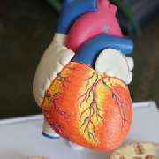 Stadtwaldpraxis für Ganzheitsmedizin & Naturheilverfahren, Kardiologie Köln - Stadtwaldpraxis für Ganzheitsmedizin