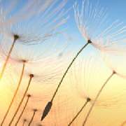 Stadtwaldpraxis für Ganzheitsmedizin & Naturheilverfahren, Kardiologie Köln - Stadtwaldpraxis für Ganzheitsmedizin