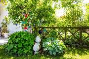 Stahl Garten - Landschaftsbau in Tuntenhausen - Pflanzungen:
Wir pflanzen Bäume, Sträucher und Stauden und beraten Sie ganz individuell, was zu Ihrem Garten passt und wie intensiv die Pflege bei verschiedenen Pflanzen sein wird.