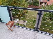 Stahl Michel - GALLERY