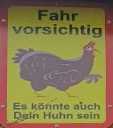 Stallbetrieb Poscher & Huhn - GALLERY