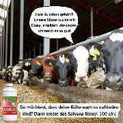 Stallservice Kück GmbH - GALLERY