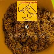 Stallservice Kück GmbH - GALLERY