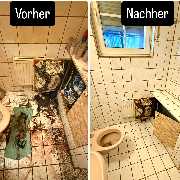 Bild von Stannebein Dienstleistungen in Schöningen - 4
