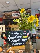 star Tankstelle - GALLERY