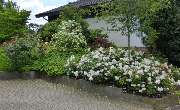 Stark im Garten - 30