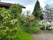 Stark im Garten - 31